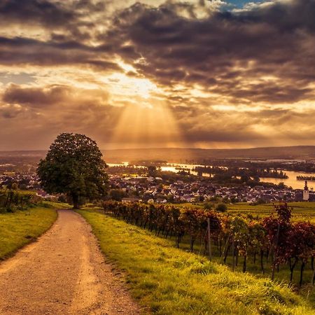 Ferienwohnung Reblaus Rüdesheim am Rhein Exterior foto