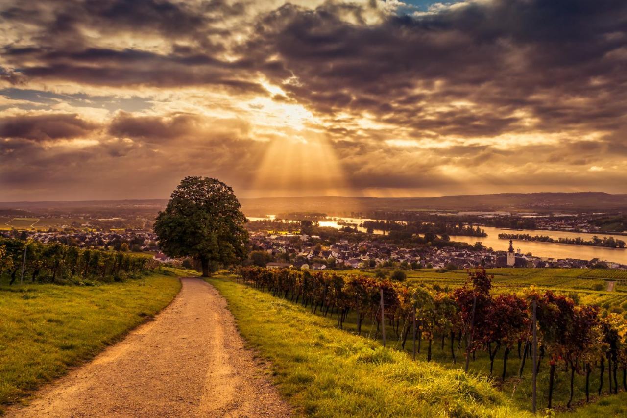 Ferienwohnung Reblaus Rüdesheim am Rhein Exterior foto